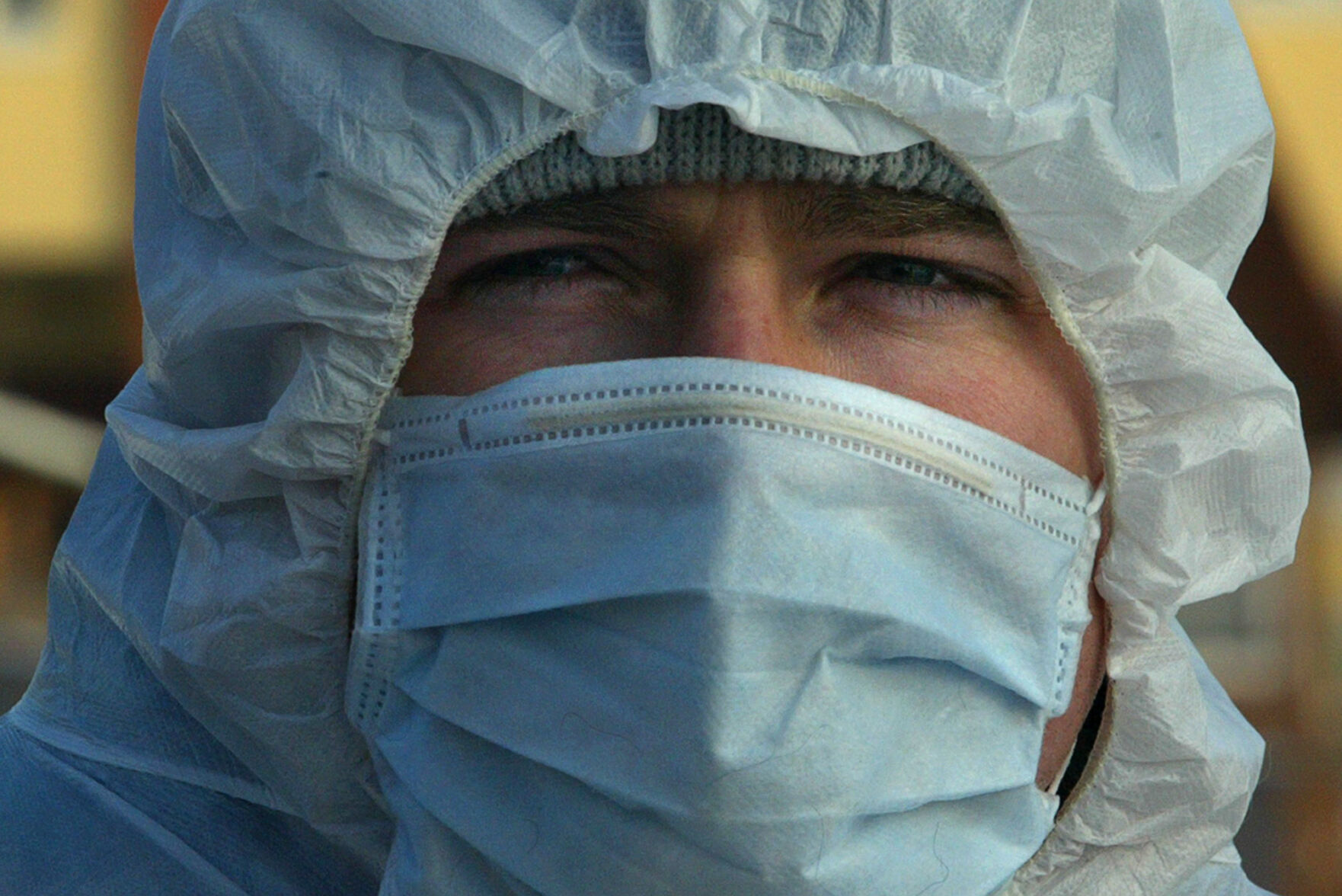Bird flu